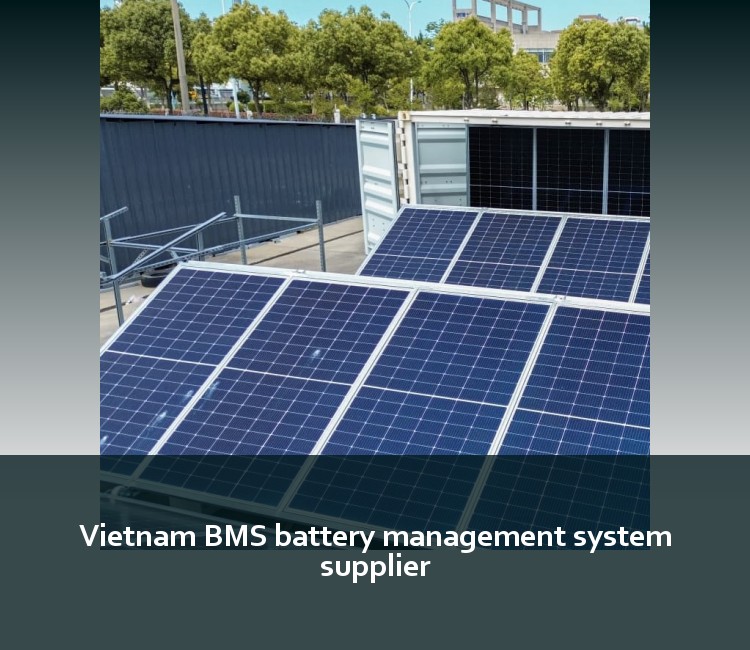 Vietnam BMS battery management system supplier