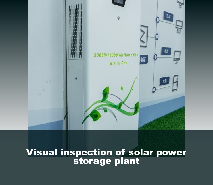 Visual inspection of solar power storage plant