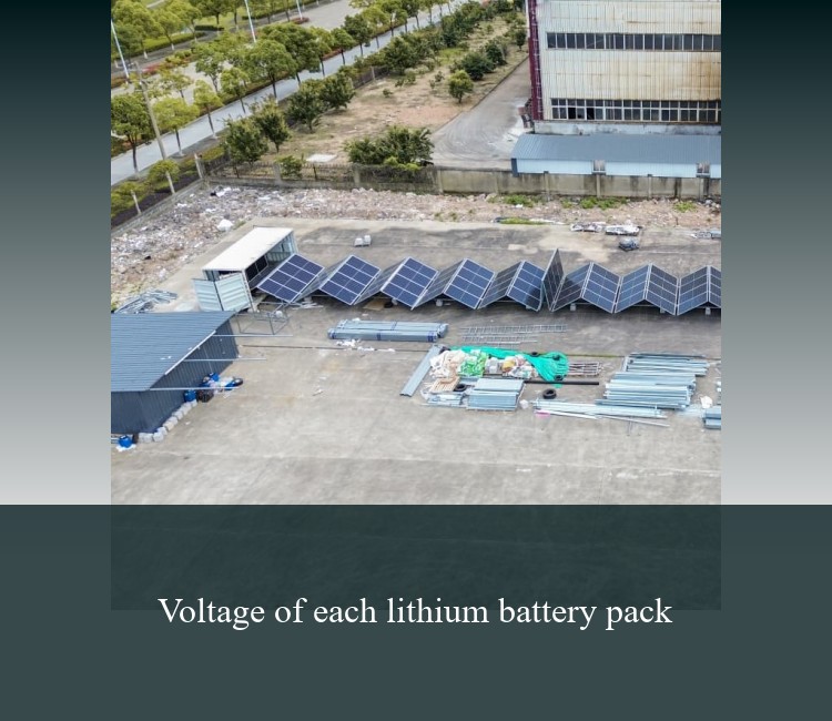 Voltage of each lithium battery pack