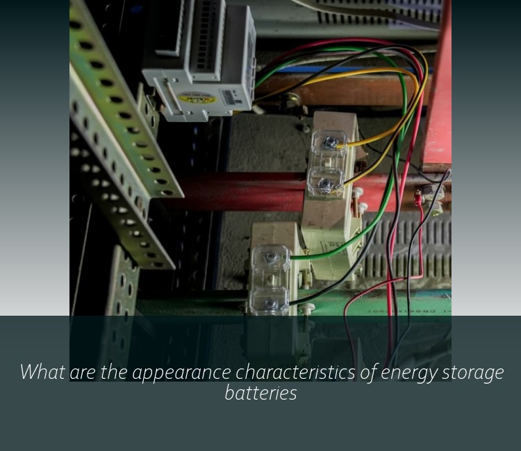 What are the appearance characteristics of energy storage batteries