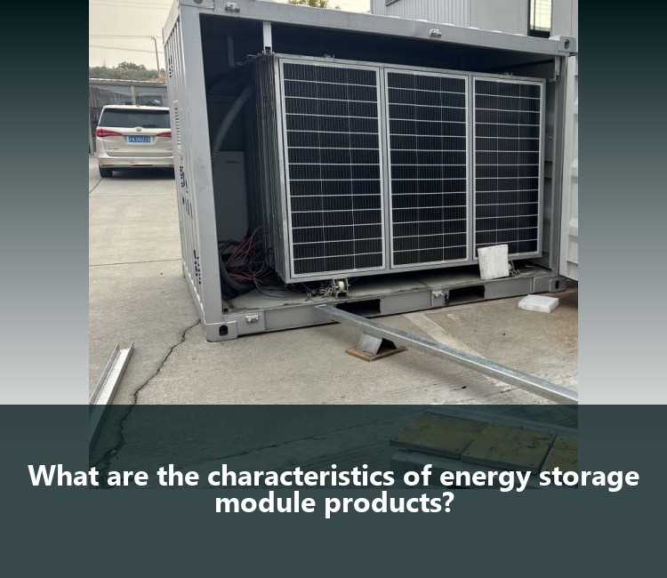What are the characteristics of energy storage module products?