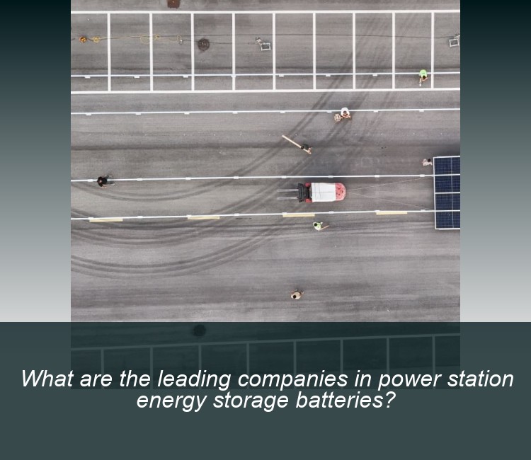 What are the leading companies in power station energy storage batteries?