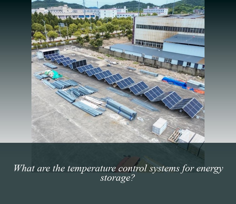 What are the temperature control systems for energy storage?
