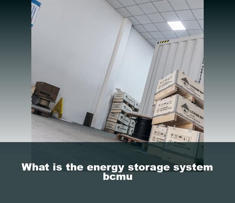 What is the energy storage system bcmu