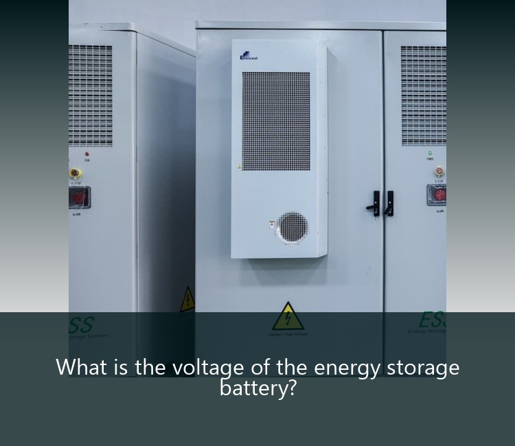 What is the voltage of the energy storage battery?