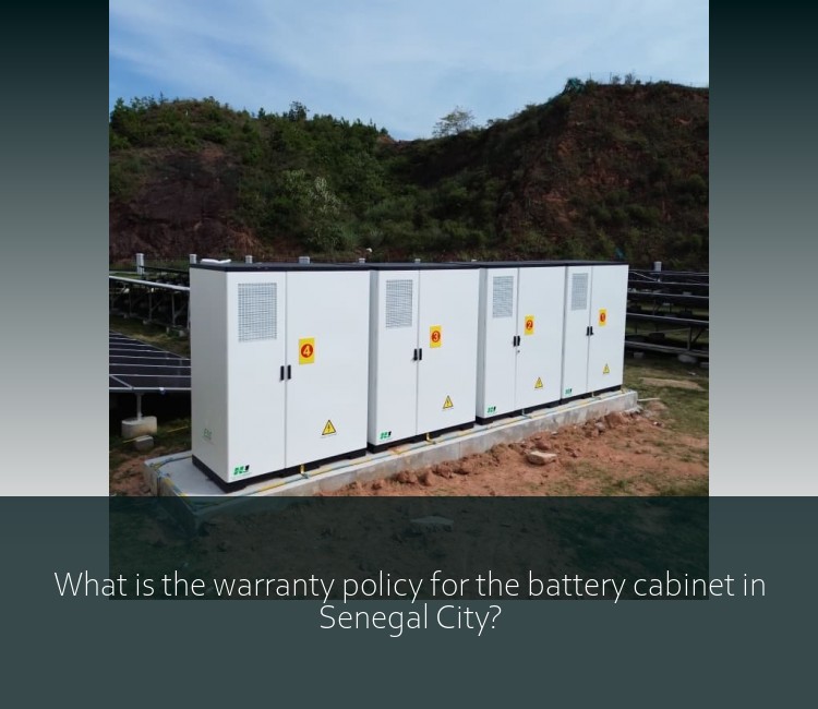 What is the warranty policy for the battery cabinet in Senegal City?