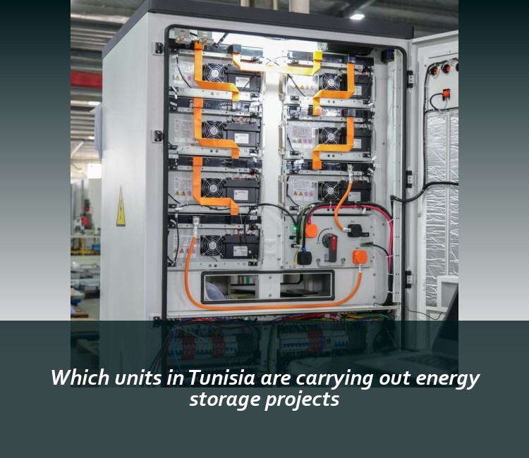 Which units in Tunisia are carrying out energy storage projects
