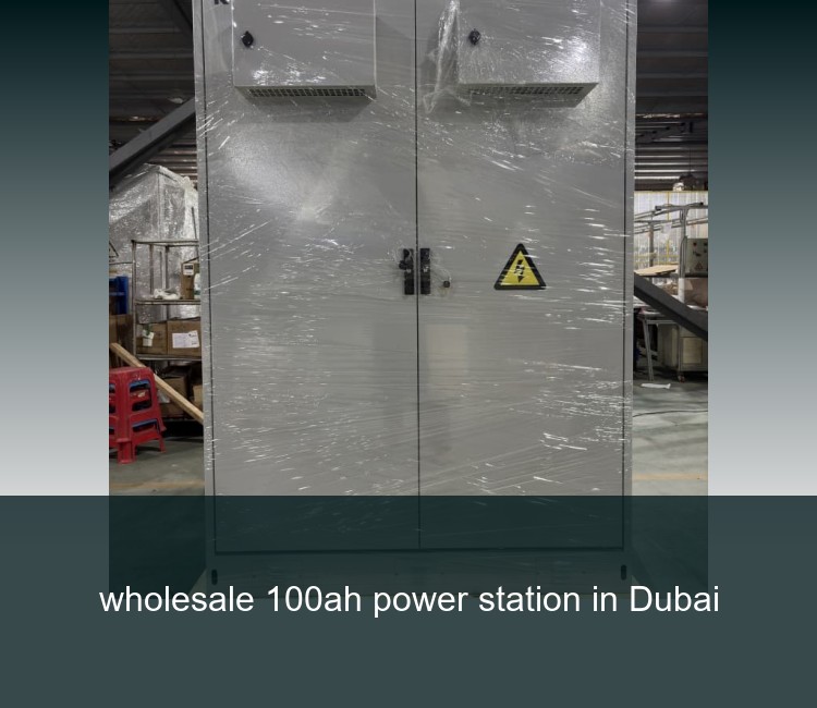wholesale 100ah power station in Dubai