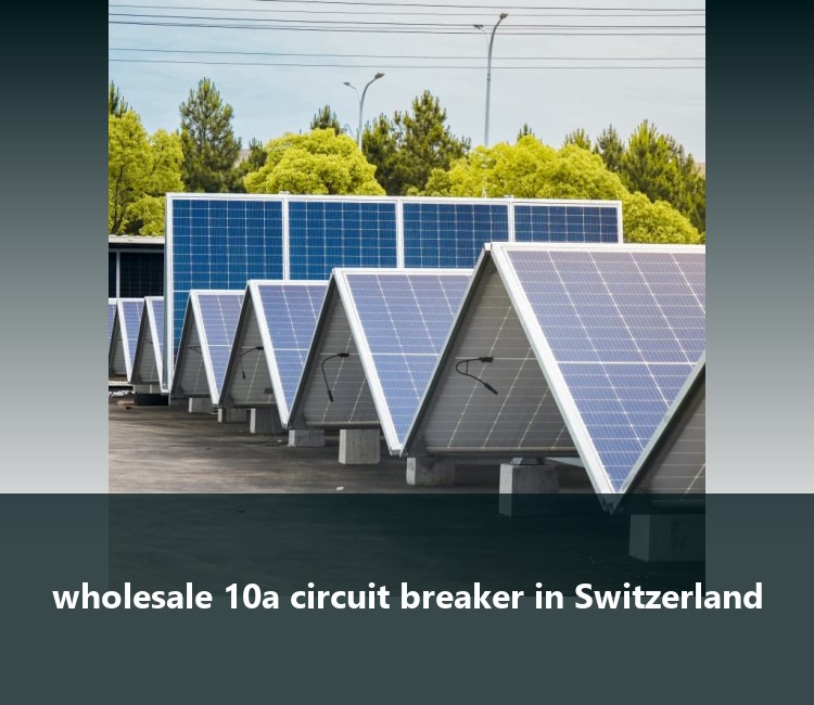 wholesale 10a circuit breaker in Switzerland