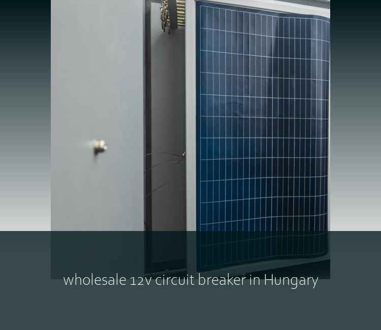 wholesale 12v circuit breaker in Hungary
