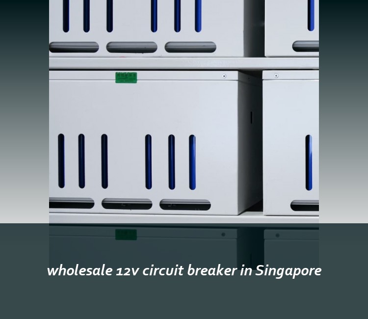 wholesale 12v circuit breaker in Singapore