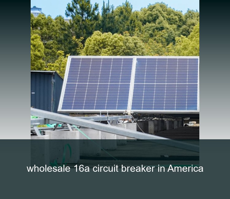 wholesale 16a circuit breaker in America