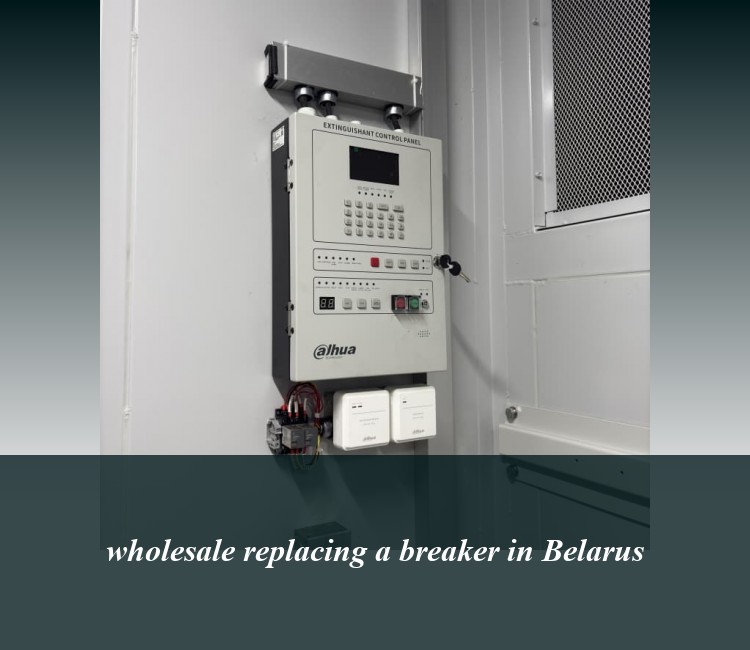 wholesale replacing a breaker in Belarus