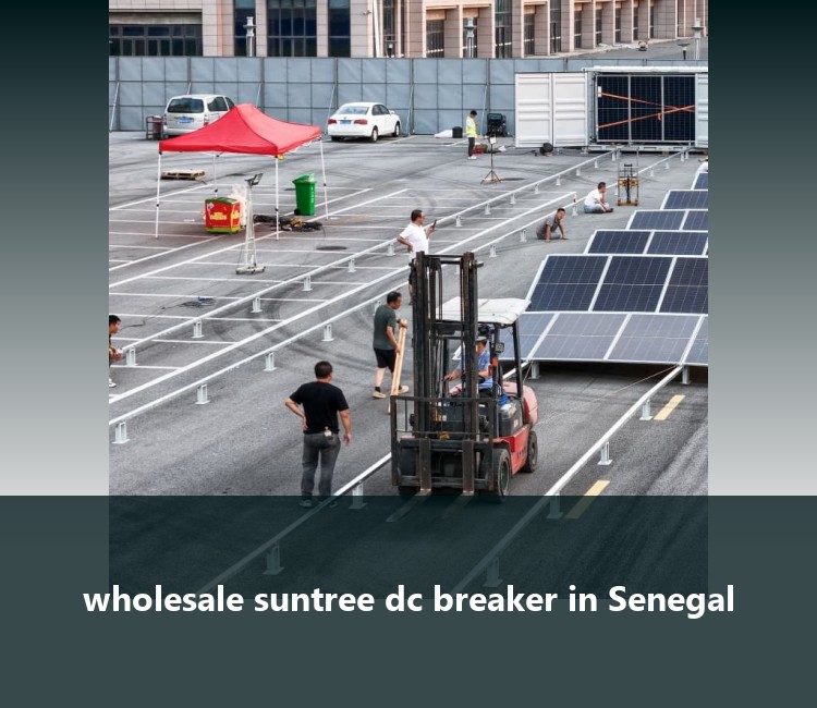 wholesale suntree dc breaker in Senegal