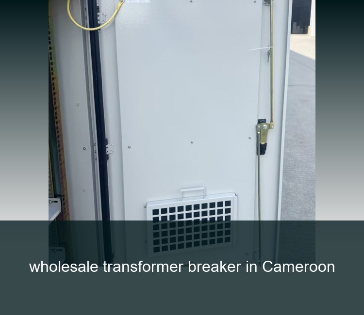 wholesale transformer breaker in Cameroon