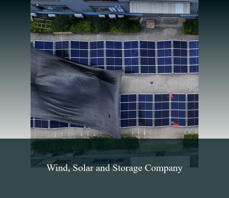 Wind, Solar and Storage Company