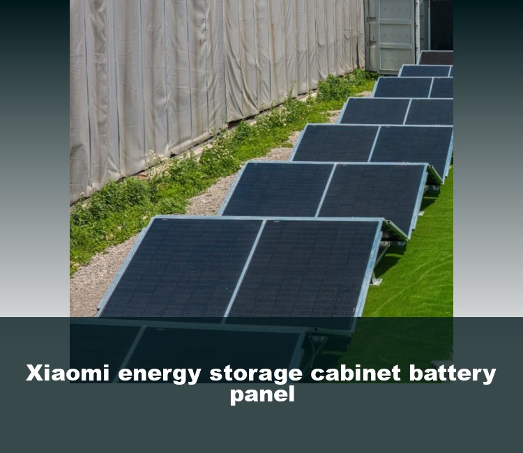 Xiaomi energy storage cabinet battery panel