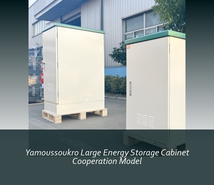 Yamoussoukro Large Energy Storage Cabinet Cooperation Model